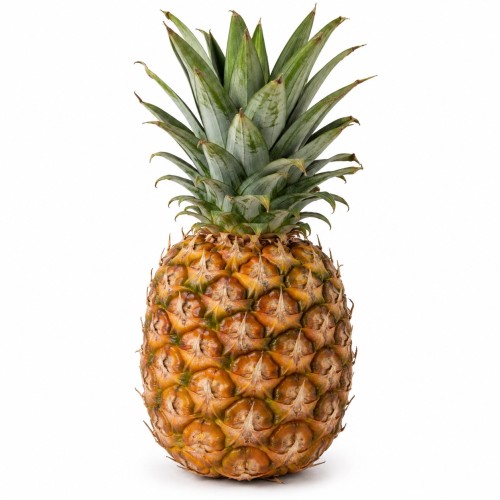 ananas-avatar.jpeg