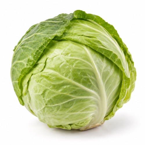 kapusta_biala_avatar.jpeg