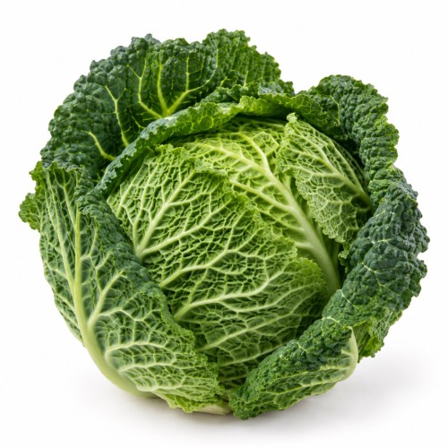 kapusta_wloska_avatar.jpeg
