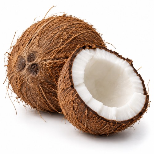 kokos_avatar.jpeg