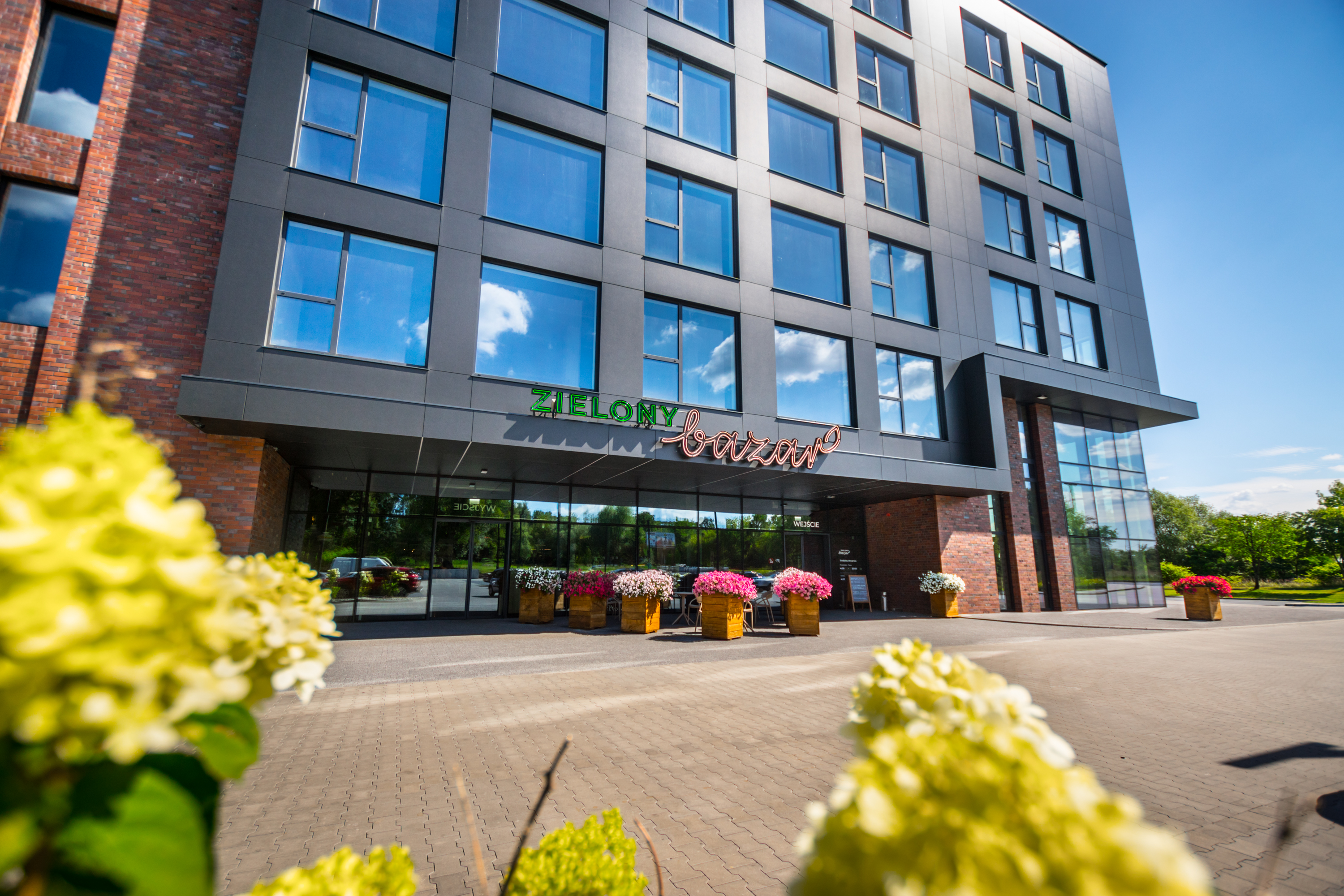 Zielony Bazar – świeże owoce i warzywa